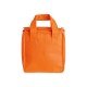 Bolsa T&eacute;rmica 5 Litros Para Brindes