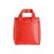 Bolsa T&eacute;rmica 5 Litros Para Brindes