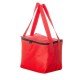 Bolsa T&eacute;rmica 8,5 Litros Personalizado